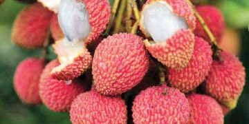 Cuidados com crianças devem ser redobrados nos prédios