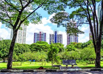 Emaranhado de fios em postes fica sem solução