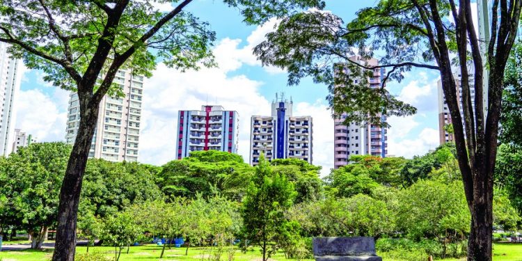 Emaranhado de fios em postes fica sem solução