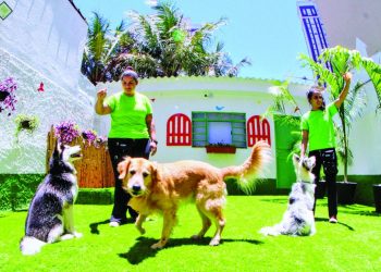 Creche e Hotel Guest Dog oferece atendimento especial aos pets no Tatuapé
