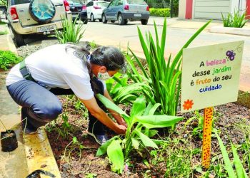 Jardins de chuva chegam para reduzir efeitos de alagamentos na cidade