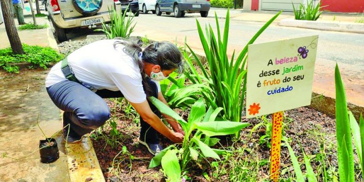 Jardins de chuva chegam para reduzir efeitos de alagamentos na cidade