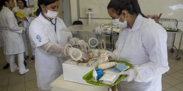 Bolsa do Povo Saúde para estudantes recebe inscrições até 10 de abril