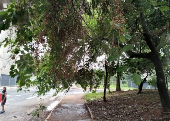 Moradores da Vila Luíza pedem ajuda por não existir zeladoria