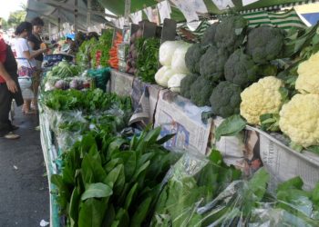 Feiras livres podem entrar no cadastro do programa ‘Tô Legal!’