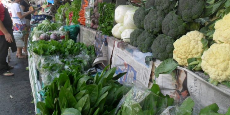 Feiras livres podem entrar no cadastro do programa ‘Tô Legal!’