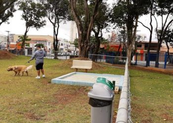 Espaço na Mooca oferece alternativas ao passeio e diversão do pet