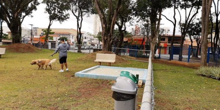 Espaço na Mooca oferece alternativas ao passeio e diversão do pet