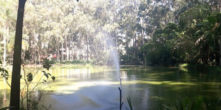 Área verde do Parque do Piqueri convida para o descanso e a contemplação