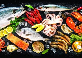 Tatuapeixe oferece o melhor em frutos do mar para a sua receita