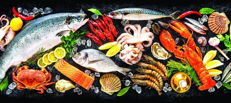 Tatuapeixe oferece o melhor em frutos do mar para a sua receita