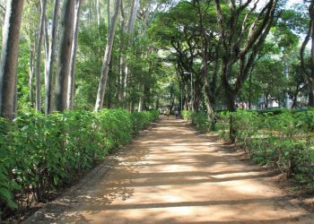 Conselheiros do Parque do Piqueri vão tomar posse no dia 4 de junho