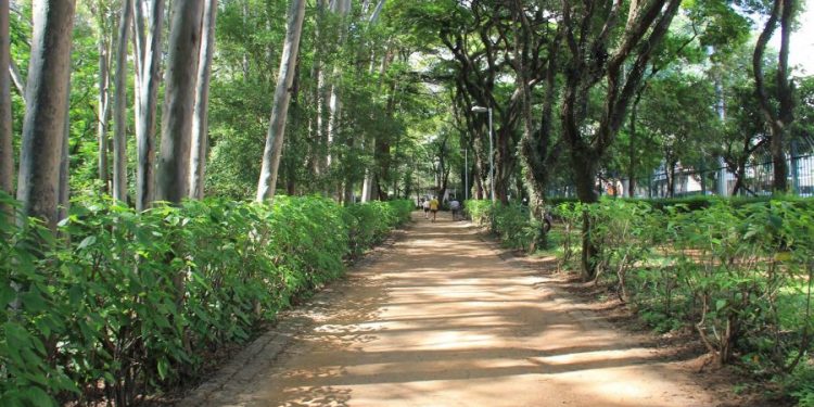 Conselheiros do Parque do Piqueri vão tomar posse no dia 4 de junho