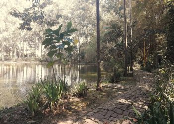 SVMA adianta que atenderá pedidos de reformas no Parque do Piqueri