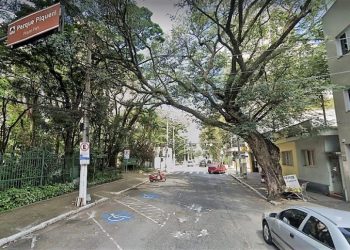 Moradores vão ao Conseg Pq. São Jorge e pedem ações da CET, da Sub e árvores