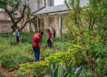 Área da Horta das Flores, na Mooca, sai da rota dos prédios da Cohab