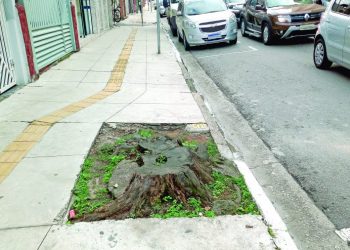 O que é mais bonito na calçada, uma nova árvore ou um toco que atrapalha?