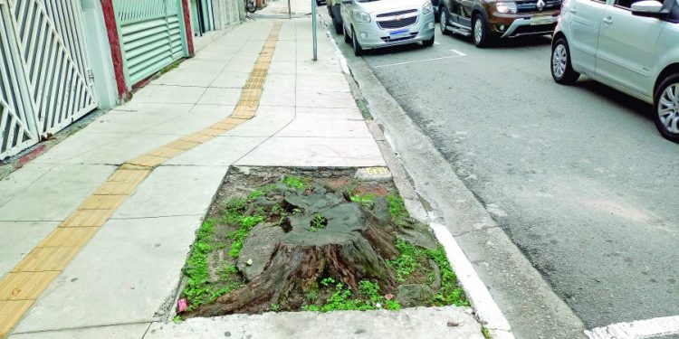 O que é mais bonito na calçada, uma nova árvore ou um toco que atrapalha?