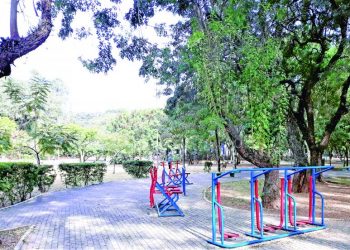 Parque Municipal do Tatuapé vive espera por obras e aparelhos