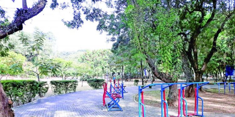 Parque Municipal do Tatuapé vive espera por obras e aparelhos