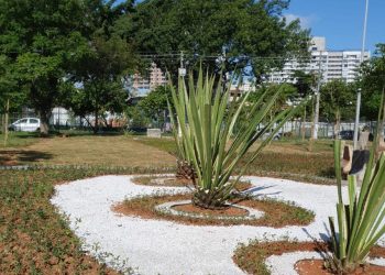 Jardim de chuva na Vila Prudente procura melhorar a permeabilidade