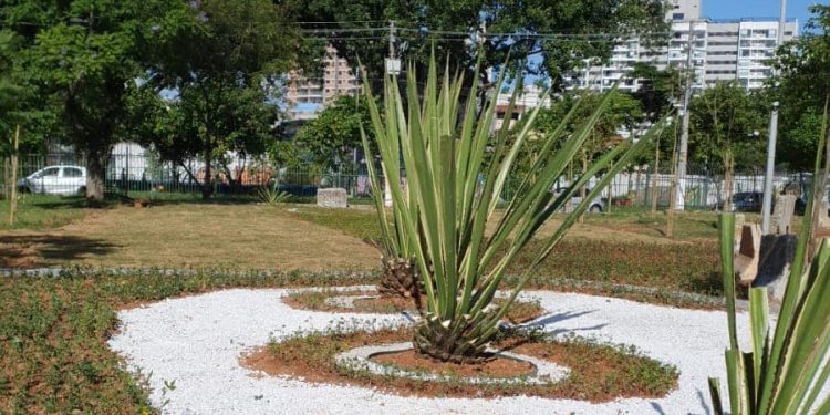 Jardim de chuva na Vila Prudente procura melhorar a permeabilidade