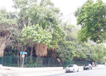 Terreno na Vila Ema pode se tornar parque após virar área de interesse social