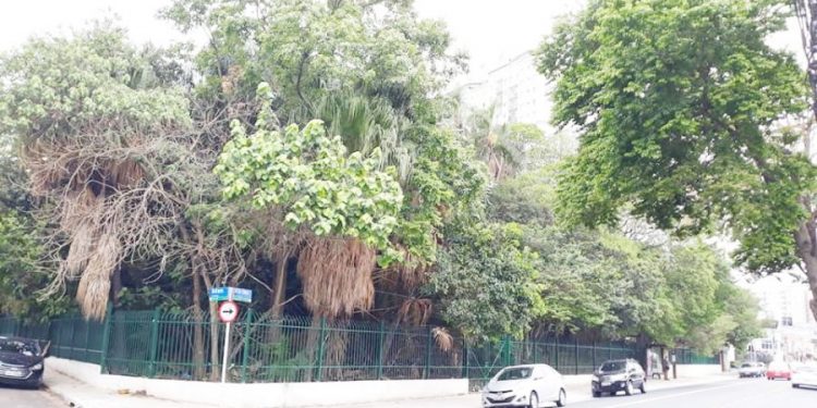 Terreno na Vila Ema pode se tornar parque após virar área de interesse social