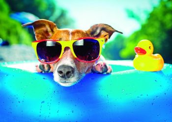 Prefeitura espera 2 milhões de pessoas no réveillon da Paulista