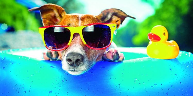 Prefeitura espera 2 milhões de pessoas no réveillon da Paulista