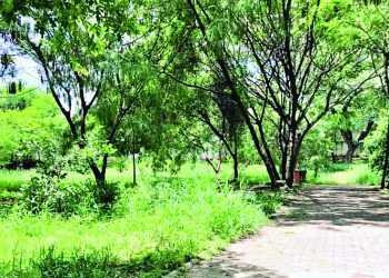 Moradores acusam Prefeitura de abandonar parque do Tatuapé