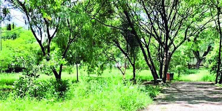 Moradores acusam Prefeitura de abandonar parque do Tatuapé