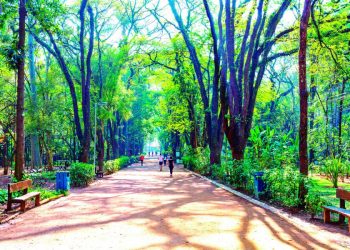 Estado terá Centro de Ciência Aplicada junto com USP e FGV