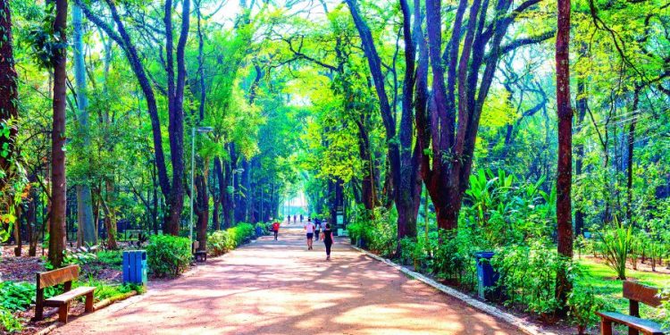 Estado terá Centro de Ciência Aplicada junto com USP e FGV