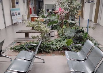 Morador de Artur Alvim reclama que não consegue dentista em UBS