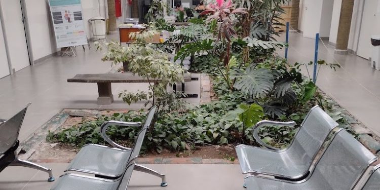 Morador de Artur Alvim reclama que não consegue dentista em UBS