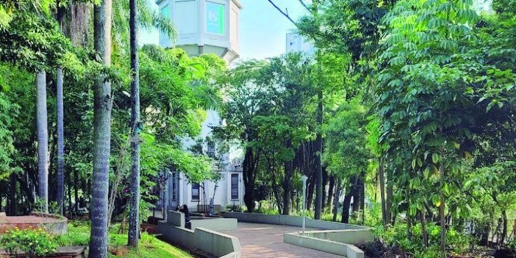 Parque Sabesp Mooca é fechado para a troca de pisos danificados