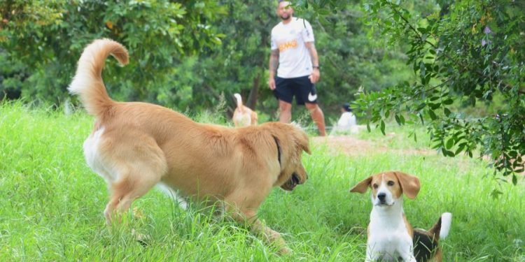 Pets têm várias opções para se divertir junto à natureza na Zona Leste