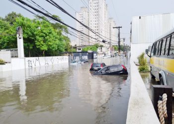 Professor critica modelo atual de combate às enchentes em São Paulo