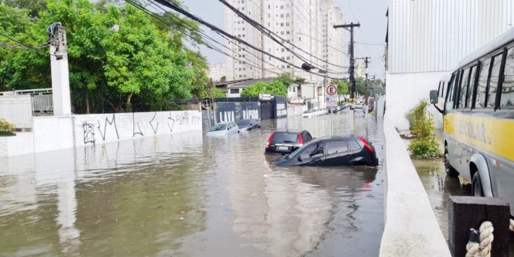 Professor critica modelo atual de combate às enchentes em São Paulo