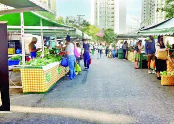 Feiras de orgânicos levam produtos para o Jardim Anália Franco e Mooca