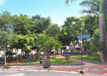 Programa municipal pretende recuperar áreas verdes em São paulo