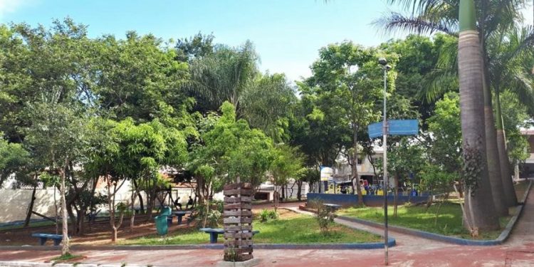Programa municipal pretende recuperar áreas verdes em São paulo