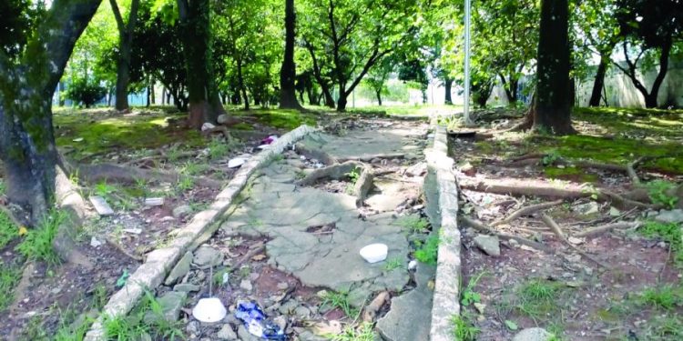 Praça Júlio Botelho, no Parque São Jorge, está sem calçamento e poda de árvores