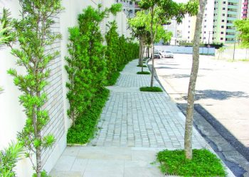 Cades (Sub Mooca) será responsável pelo avanço no plantio de árvores no Tatuapé