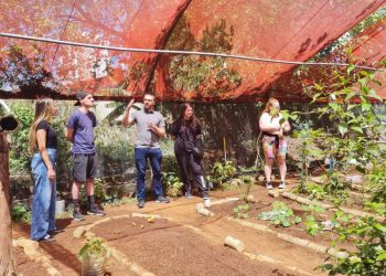 Horta das Flores, na Mooca, precisa de reforma em telhados e banheiros