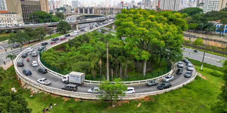 Miniflorestas urbanas recuperam fauna, flora e permeabilidade