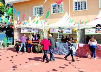 Tradicional Festa Junina do Lar Sírio Pró-Infância fortalece mensagem ecológica