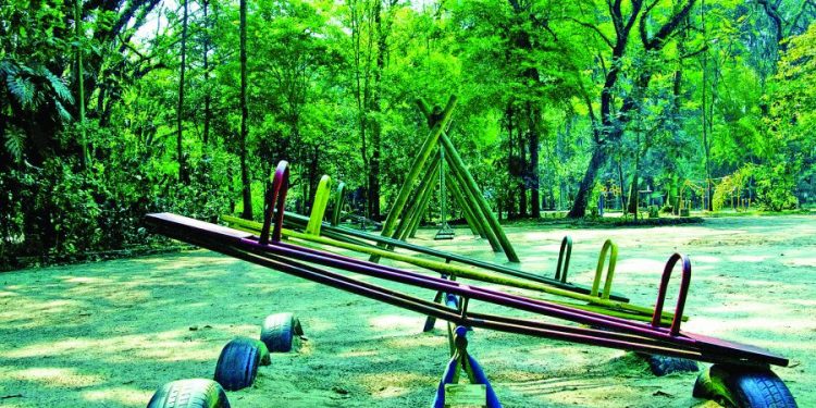 SVMA anuncia morte de capivara, obras e benfeitorias no Parque do Piqueri