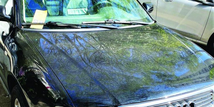 ‘Multa moral’ punirá motorista que usar vagas de pessoas com deficiência